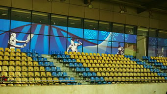 爱游戏品牌互动-新加坡队未来计划：建立更完善的青少年乒乓培养体系，新加坡乒乓球运动