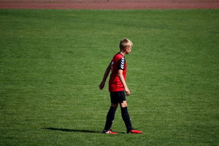 爱游戏线上-未来足球场馆将融合智能照明和环境监测系统，绿色科技引领行业